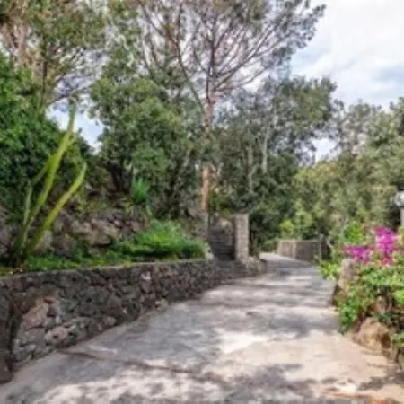 Forio Casa Villa, La Grille Du Coq 4 Il Prezzo Della E Riferito All'intero Con Il Limite Delle Persone Previste N 6 *