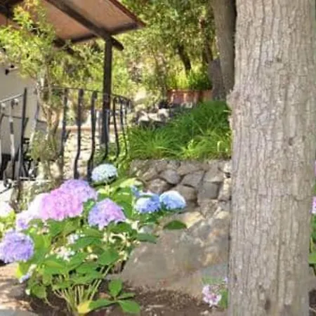 Forio Casa Villa, La Grille Du Coq 4 Il Prezzo Della E Riferito All'intero Con Il Limite Delle Persone Previste N 6 Holiday home