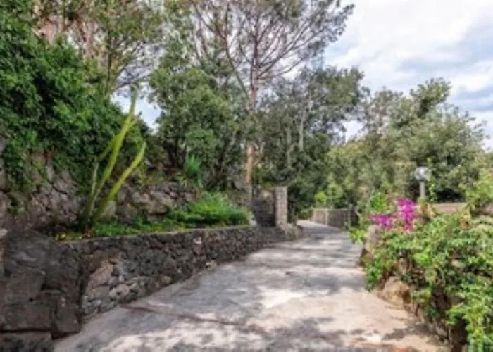 Ischia-forio-punta Caruso-la Grille Du Coq-villa 4 Il Prezzo Della E Riferito All'intero Con Il Limite Delle Persone Previste N 6 *