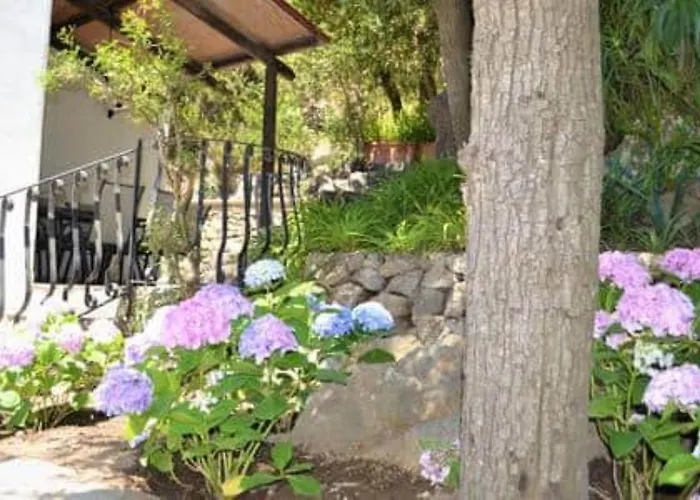 Ischia-forio-punta Caruso-la Grille Du Coq-villa 4 Il Prezzo Della E Riferito All'intero Con Il Limite Delle Persone Previste N 6 Holiday home