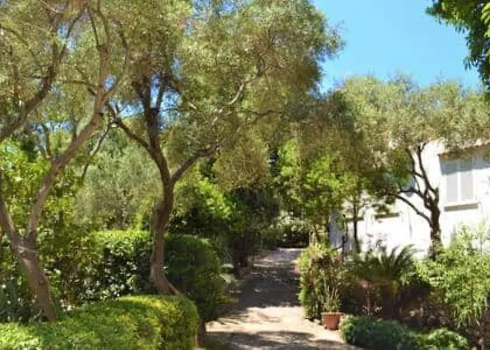 Ischia-forio-punta Caruso-la Grille Du Coq-villa 4 Il Prezzo Della E Riferito All'intero Con Il Limite Delle Persone Previste N 6 Holiday home