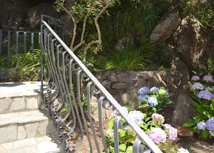 Ischia-forio-punta Caruso-la Grille Du Coq-villa 4 Il Prezzo Della E Riferito All'intero Con Il Limite Delle Persone Previste N 6 *