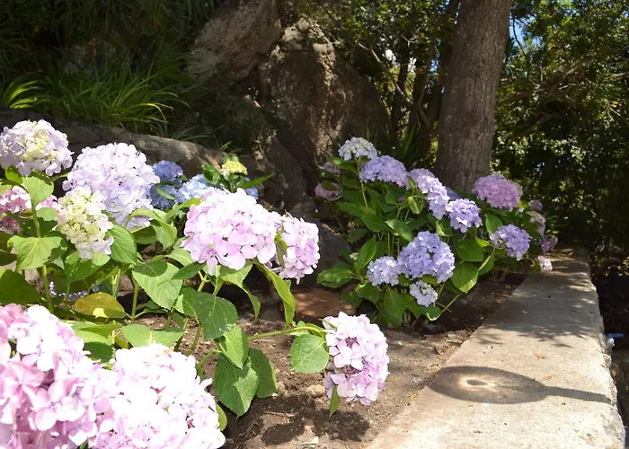 Ischia-forio-punta Caruso-la Grille Du Coq-villa 4 Il Prezzo Della E Riferito All'intero Con Il Limite Delle Persone Previste N 6